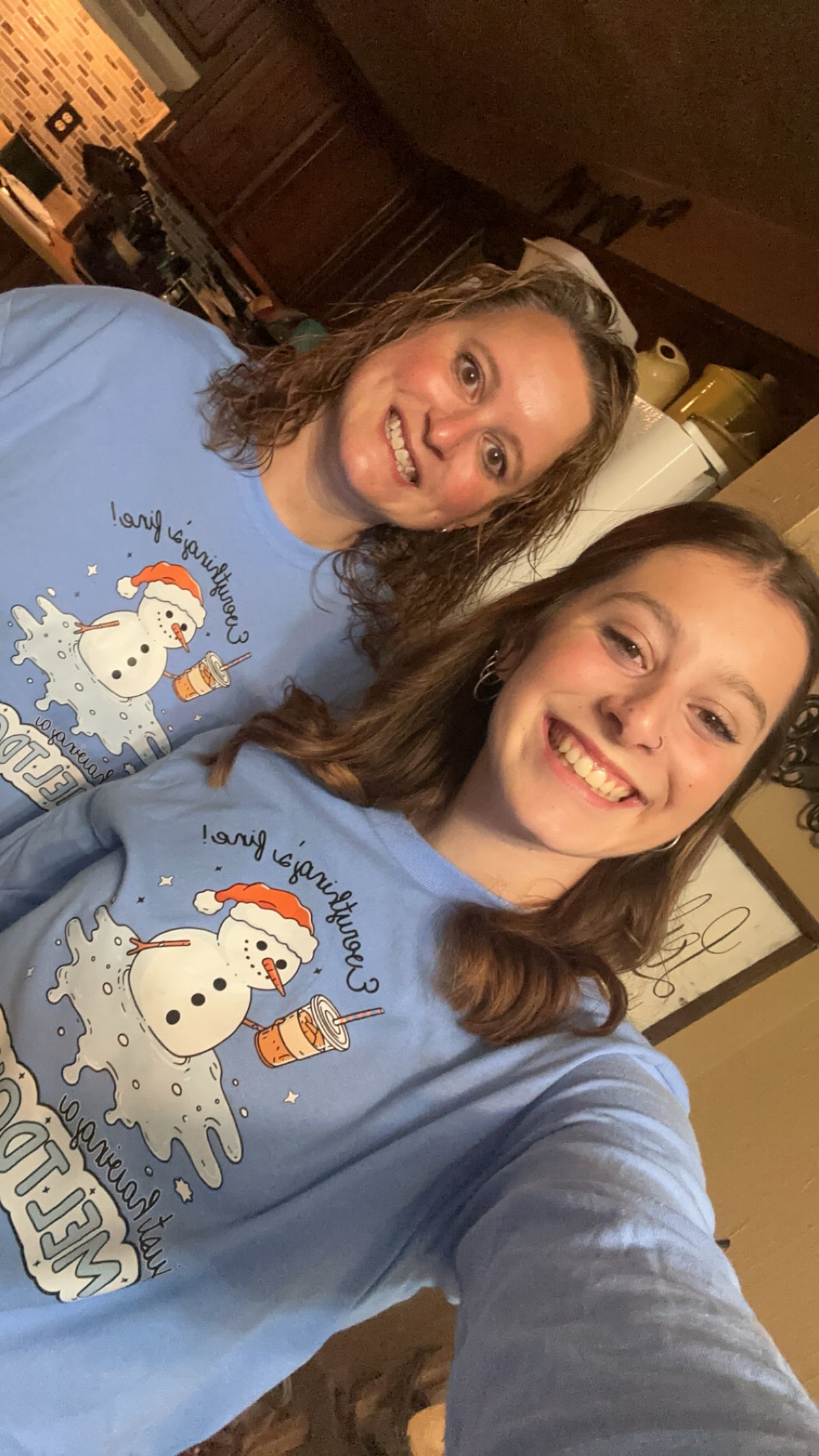 Black Friday Special- We’re Having a Meltdown long sleeve graphic